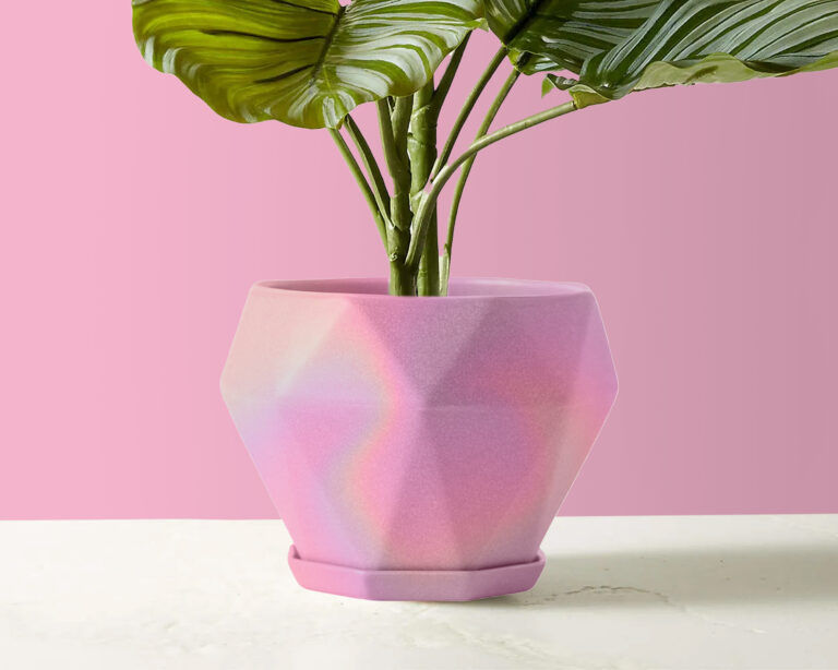 Potted Plant Geometric Holographi Pink